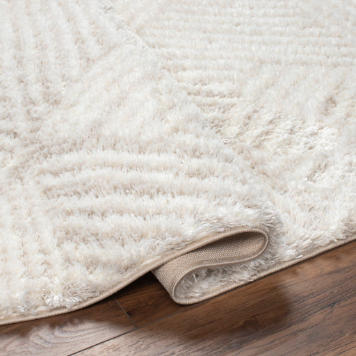 Surya Cloudy Shag CDG-2319 Off-White Modern Machinemade Rug