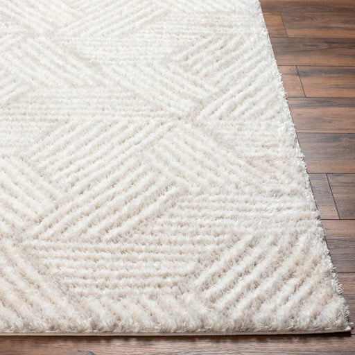 Surya Cloudy Shag CDG-2319 Off-White Modern Machinemade Rug