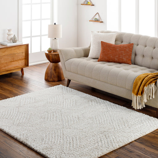 Surya Cloudy Shag CDG-2319 Off-White Modern Machinemade Rug