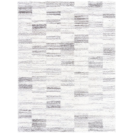 Surya Cloudy Shag CDG-2337 Light Beige Modern Machinemade Rug