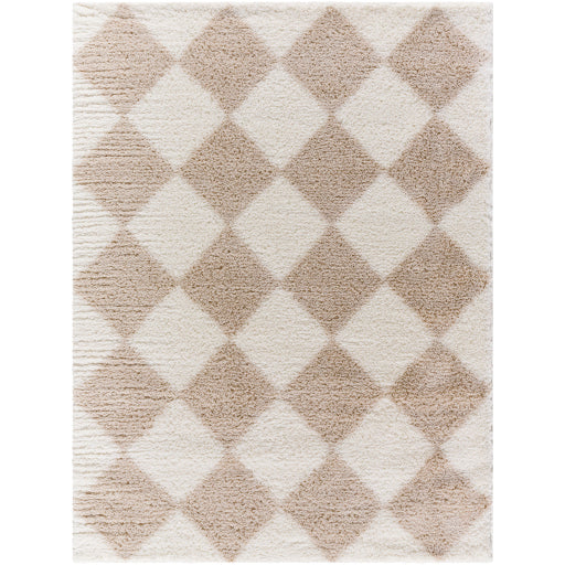 Surya Cloudy Shag CDG-2338 Light Beige Modern Machinemade Rug