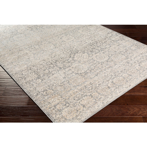 Surya City Light CYL-2300 Charcoal Modern Machinemade Rug