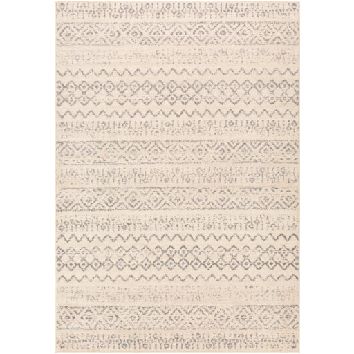 Surya City Light CYL-2309 Charcoal Modern Machinemade Rug