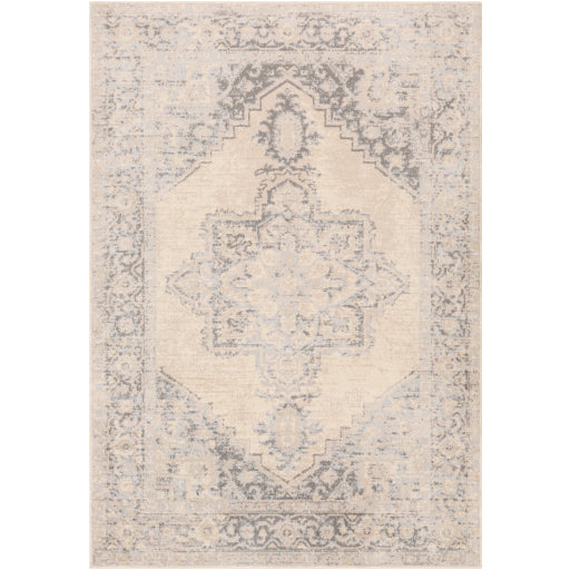 Surya City Light CYL-2316 Charcoal Modern Machinemade Rug