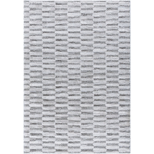 Surya Delight Shag DEL-2301  Global MachineWoven Rug