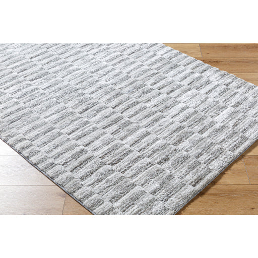 Surya Delight Shag DEL-2301  Global MachineWoven Rug