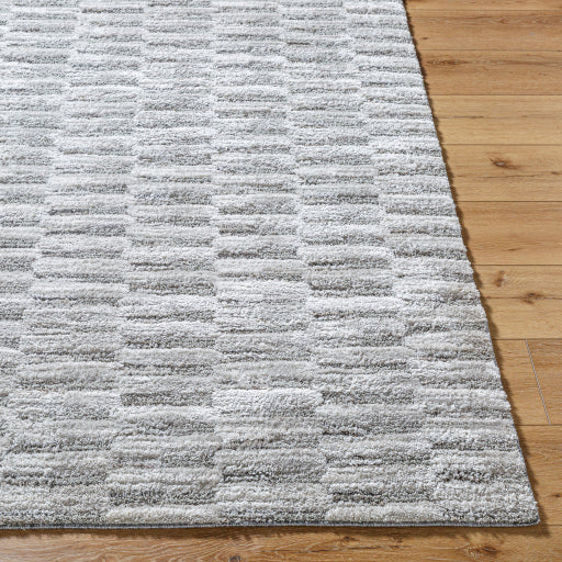 Surya Delight Shag DEL-2301  Global MachineWoven Rug