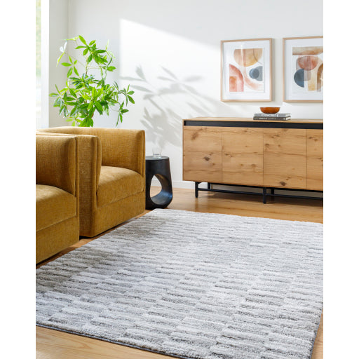 Surya Delight Shag DEL-2301  Global MachineWoven Rug