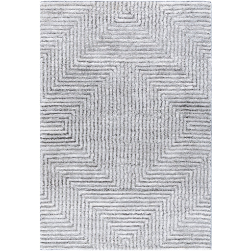 Surya Delight Shag DEL-2309  Global MachineWoven Rug