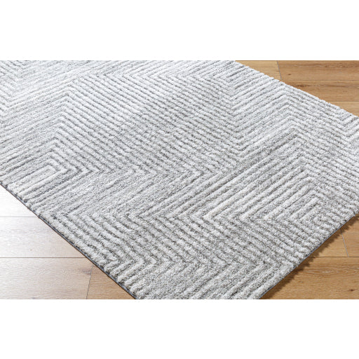 Surya Delight Shag DEL-2309  Global MachineWoven Rug