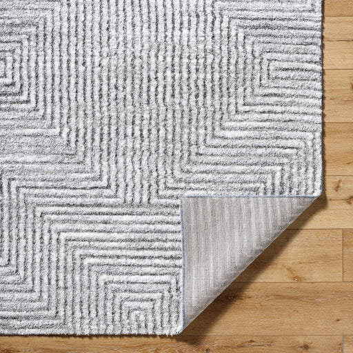 Surya Delight Shag DEL-2309  Global MachineWoven Rug