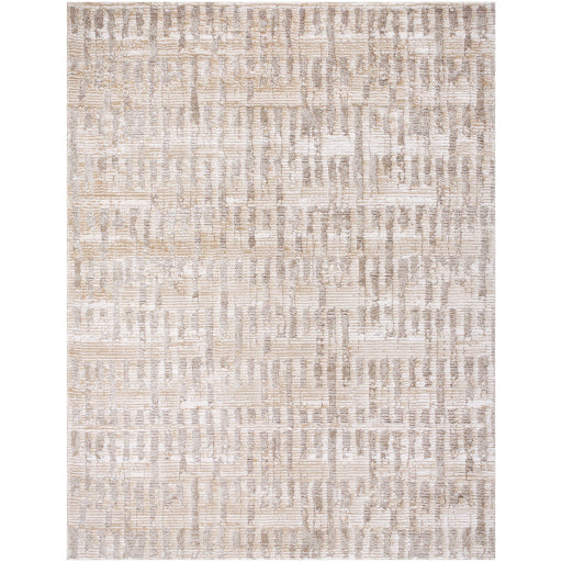 Surya Delight Shag DEL-2310  Global MachineWoven Rug