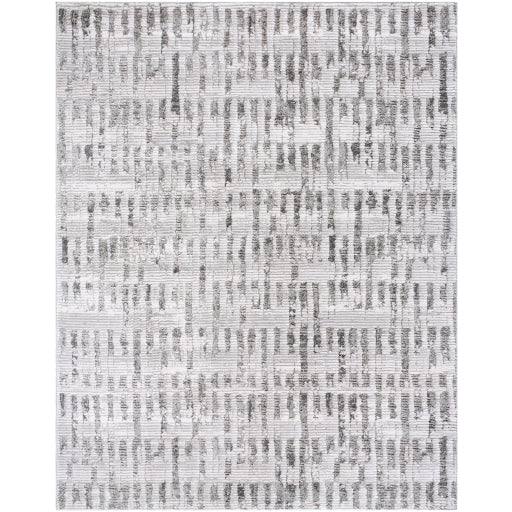 Surya Delight Shag DEL-2311  Global MachineWoven Rug