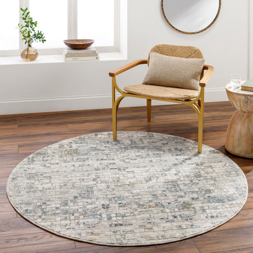 Surya Dresden DRE-2304 Taupe Modern Machinemade Rug