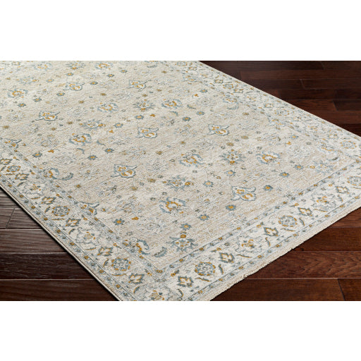 Surya Dresden DRE-2311 Taupe Traditional Machinemade Rug