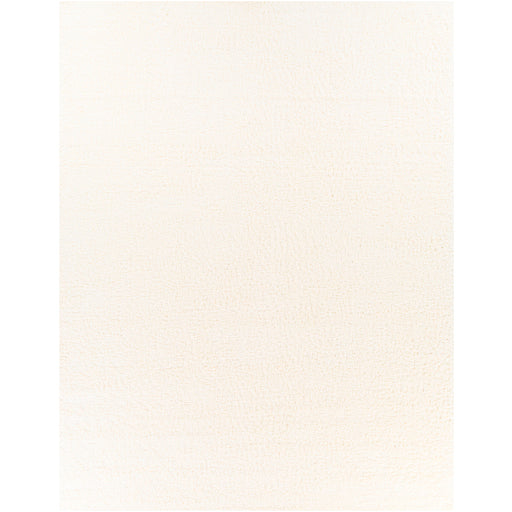 Surya Deluxe Shag DXS-2300 White Modern Machinemade Rug