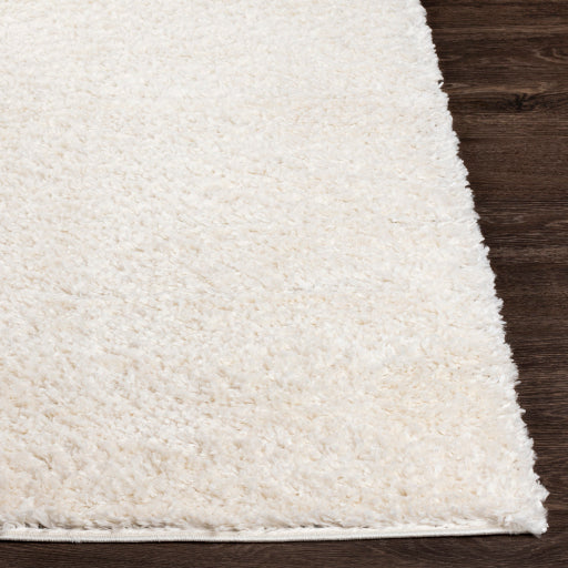 Surya Deluxe Shag DXS-2300 White Modern Machinemade Rug