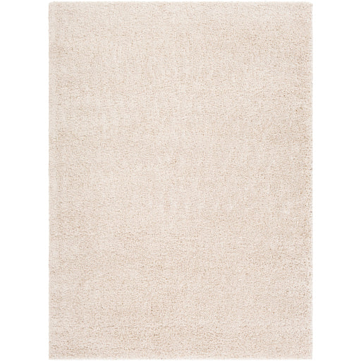 Surya Deluxe Shag DXS-2301 Light Beige Modern Machinemade Rug