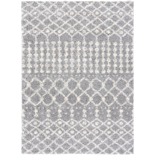 Surya Deluxe Shag DXS-2313 Medium Gray Global Machinemade Rug