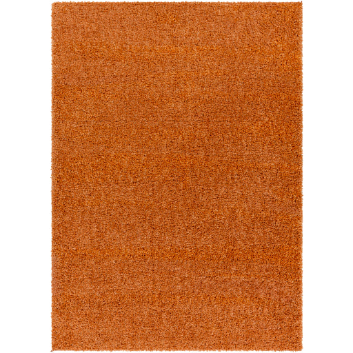 Surya Deluxe Shag DXS-2322 Burnt Orange Modern Machinemade Rug