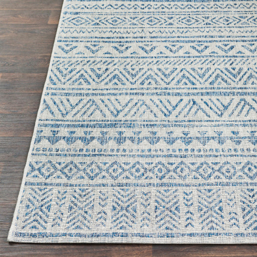 Surya Eagean EAG-2306 Light Blue Global Machinemade Rug