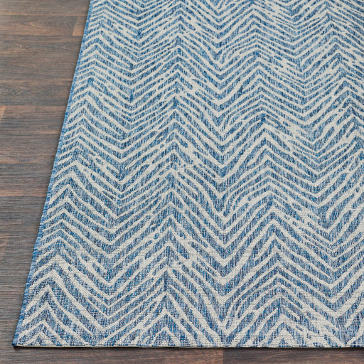 Surya Eagean EAG-2319 Light Blue Modern Machinemade Rug