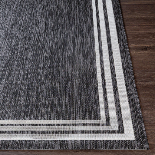 Surya Eagean EAG-2365 Charcoal Traditional Machinemade Rug