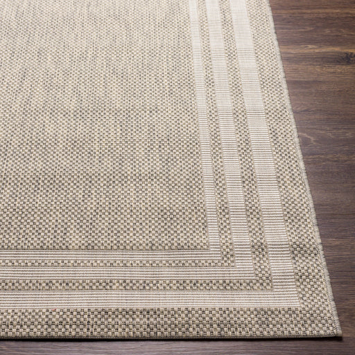 Surya Eagean EAG-2366 Oatmeal Traditional Machinemade Rug