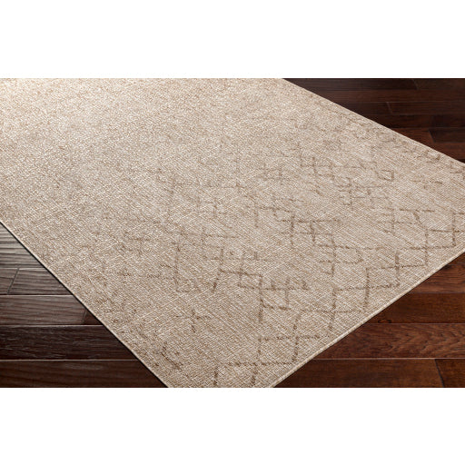 Surya Eagean EAG-2404 Brown Global Machinemade Rug