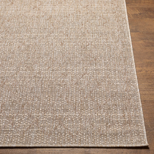 Surya Eagean EAG-2404 Brown Global Machinemade Rug