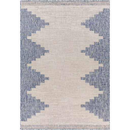 Surya Eagean EAG-2420 Oatmeal Global Machinemade Rug