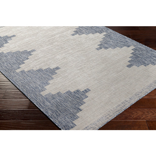 Surya Eagean EAG-2420 Oatmeal Global Machinemade Rug