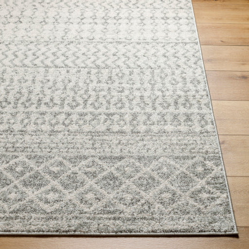 Surya Elaziz ELZ-2308 Light Gray Global Machinemade Rug