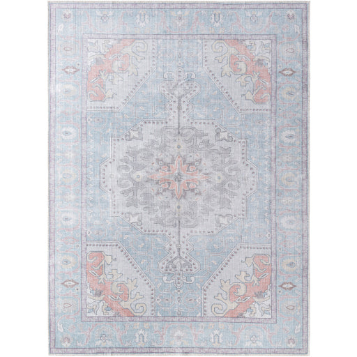 Surya Embrace EMA-2307 Denim Traditional Machinemade Rug