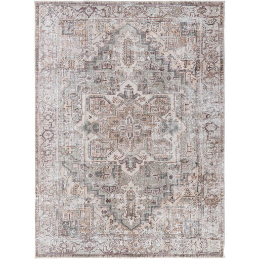 Surya Embrace EMA-2308 Light Beige Traditional Machinemade Rug