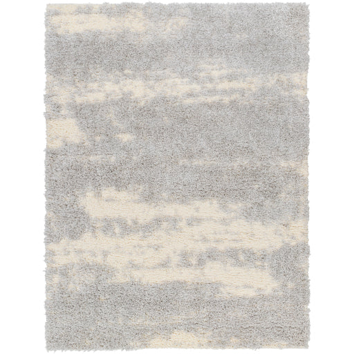 Surya Everton Plus EVP-2301 Light Gray Modern Machinemade Rug