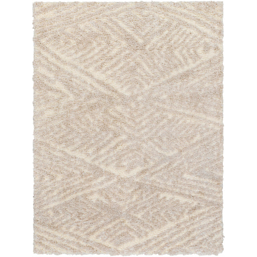 Surya Everton Plus EVP-2302 Ivory Modern Machinemade Rug