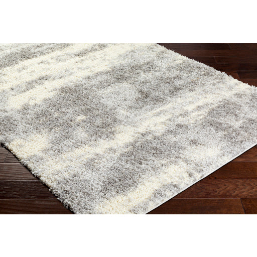 Surya Everton Plus EVP-2303 Light Gray Modern Machinemade Rug