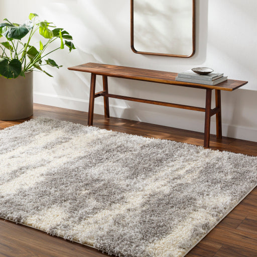 Surya Everton Plus EVP-2303 Light Gray Modern Machinemade Rug