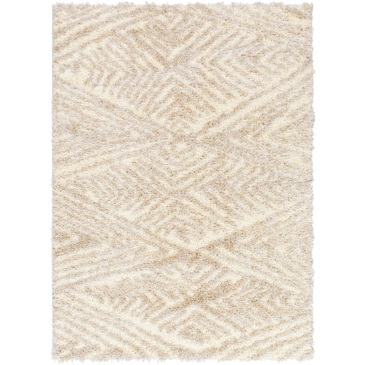 Surya Everton Plus EVP-2306 Ivory Global Machinemade Rug