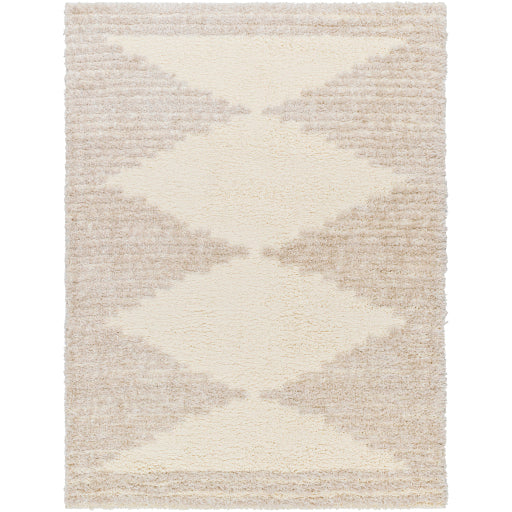 Surya Everton Plus EVP-2308 Ivory Global Machinemade Rug