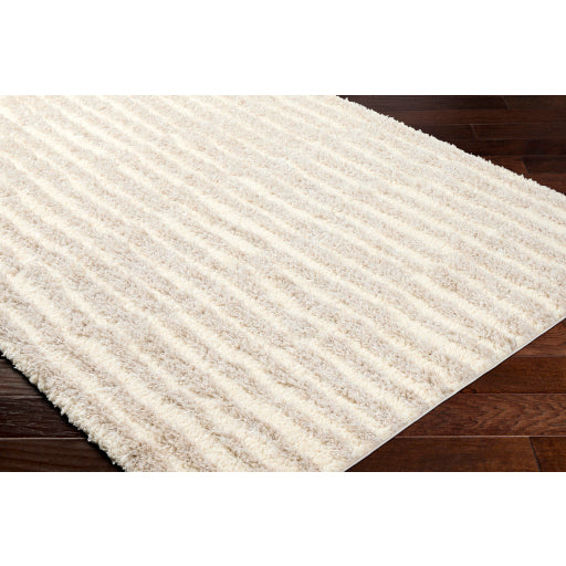 Surya Everton Plus EVP-2309 Ivory Modern Machinemade Rug