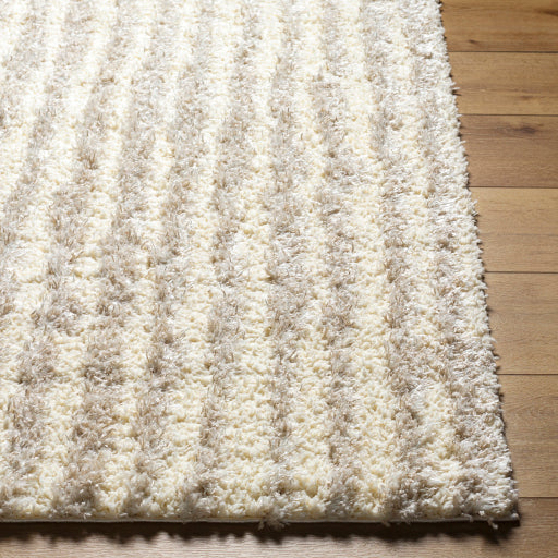 Surya Everton Plus EVP-2309 Ivory Modern Machinemade Rug