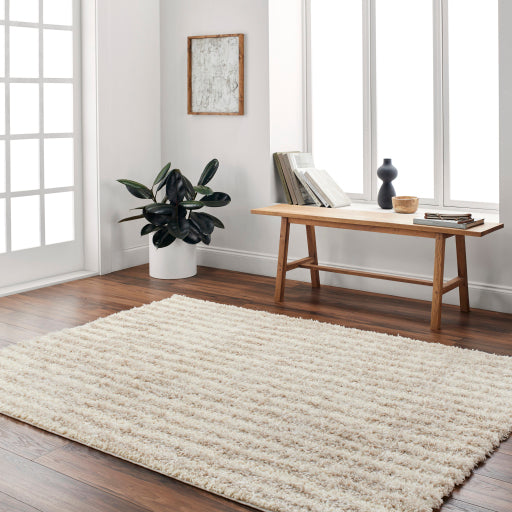 Surya Everton Plus EVP-2309 Ivory Modern Machinemade Rug