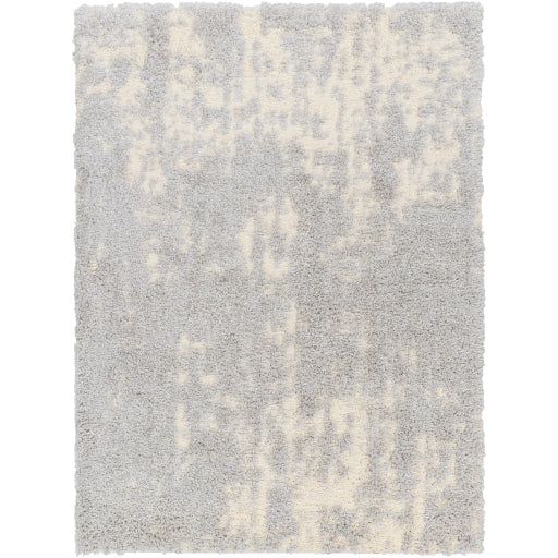 Surya Everton Plus EVP-2310 Light Gray Modern Machinemade Rug