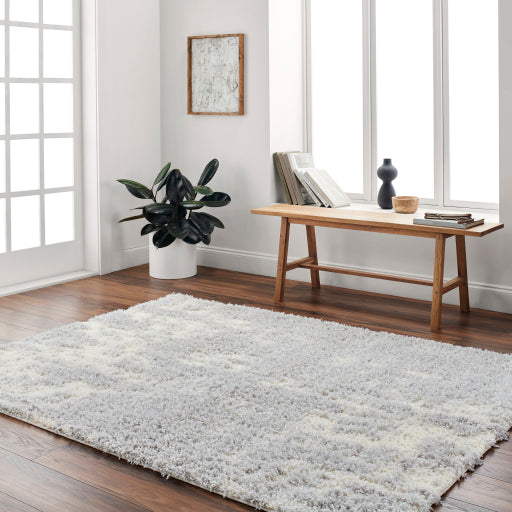 Surya Everton Plus EVP-2310 Light Gray Modern Machinemade Rug