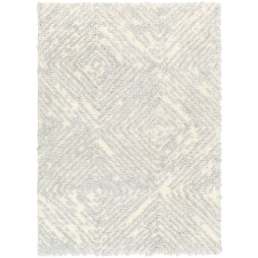 Surya Everton Plus EVP-2312 Light Gray Global Machinemade Rug