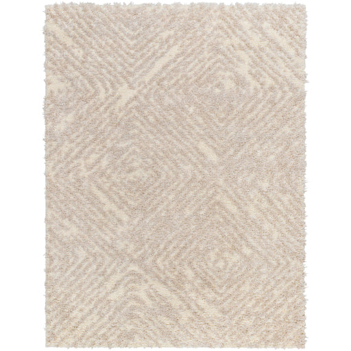 Surya Everton Plus EVP-2313 Ivory Global Machinemade Rug