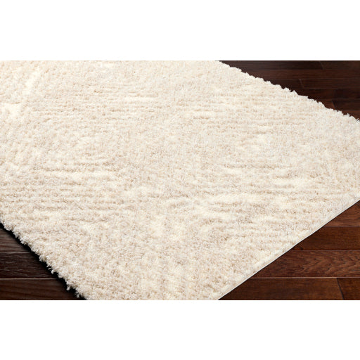 Surya Everton Plus EVP-2313 Ivory Global Machinemade Rug