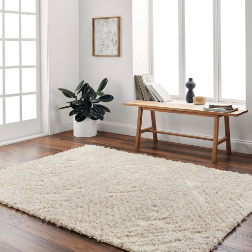 Surya Everton Plus EVP-2313 Ivory Global Machinemade Rug